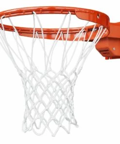 Buy ❤️ Porter TorqFlex 180 Degree Elite Flex 👏 Basketball Rim 🧨