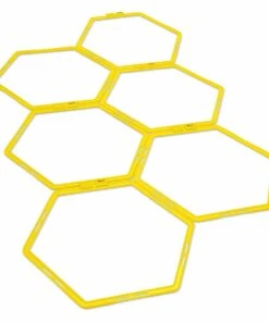 Budget 😍 SKLZ Speed Web Agility Trainer Set 👏